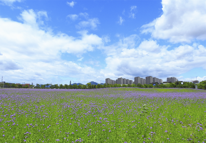 DSCN7854_副本-小.jpg DSCN7854_副本-小.jpg